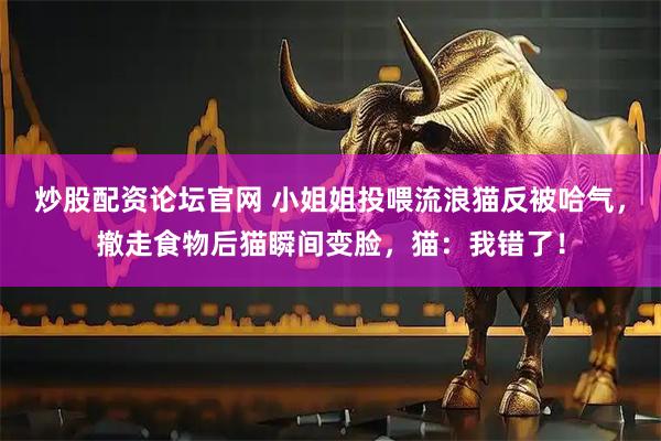 炒股配资论坛官网 小姐姐投喂流浪猫反被哈气，撤走食物后猫瞬间变脸，猫：我错了！