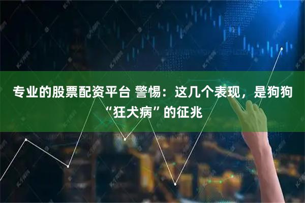 专业的股票配资平台 警惕：这几个表现，是狗狗“狂犬病”的征兆